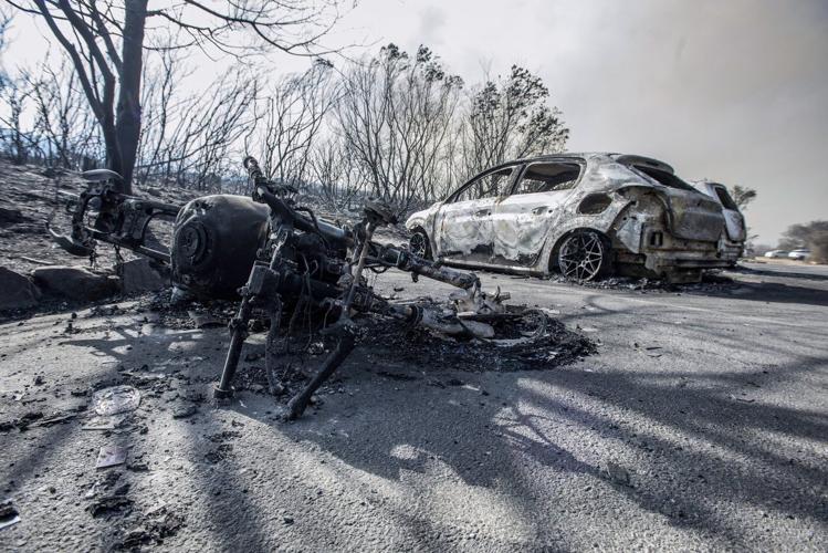 Large fires are burning on the slopes of South Africa's famous Table Mountain