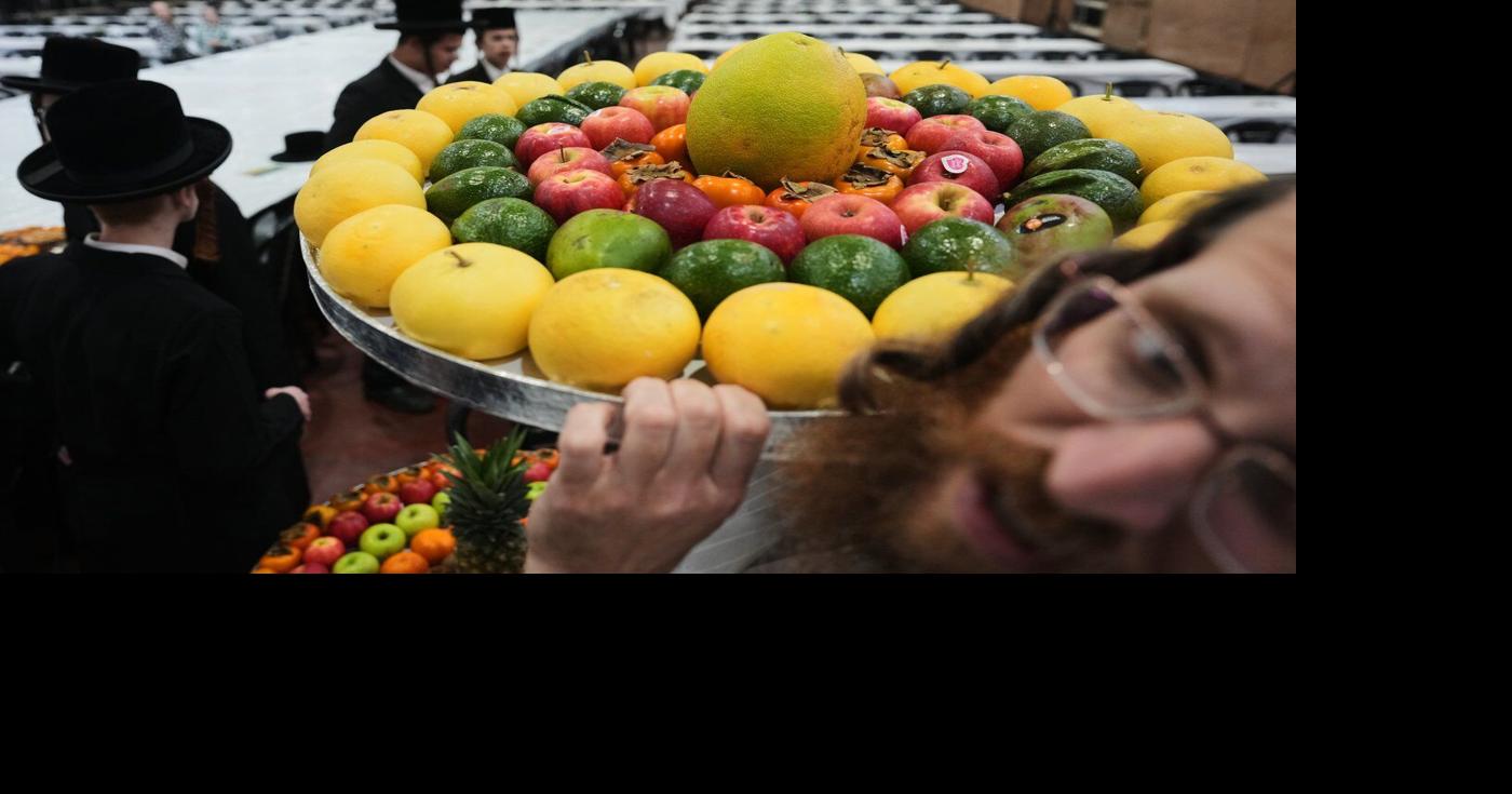 Photos of Hasidic Jews celebrating the 'New Year of Trees' in Israel ...