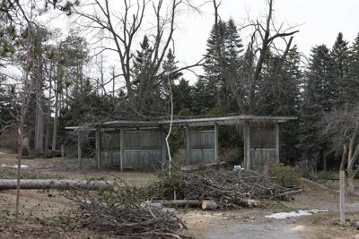 About 66,000 Hydro One customers still without power in Ontario after ice storm