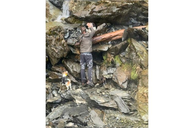 Hiker's dog lost in a wild New Zealand forest rescued by helicopter after strangers fund search