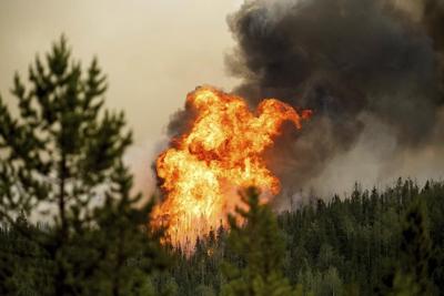 Firefighter training under scrutiny as 'marathon' wildfire season gives hard lessons