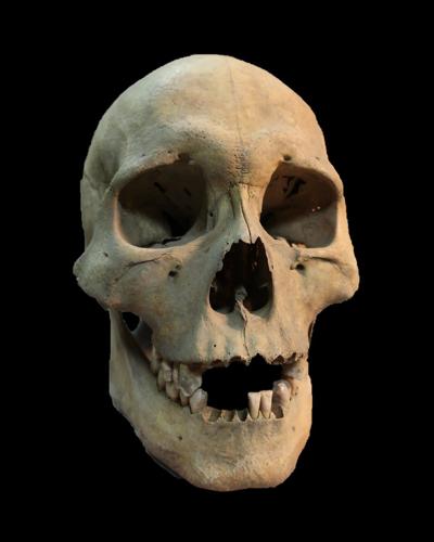 Ancient teeth from Siberia rewrite the plague’s timeline, dating back to over 5,500 years ago