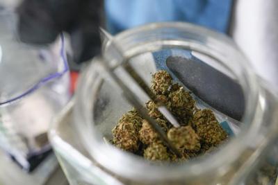 Voters approve recreational marijuana in Maryland, Missouri