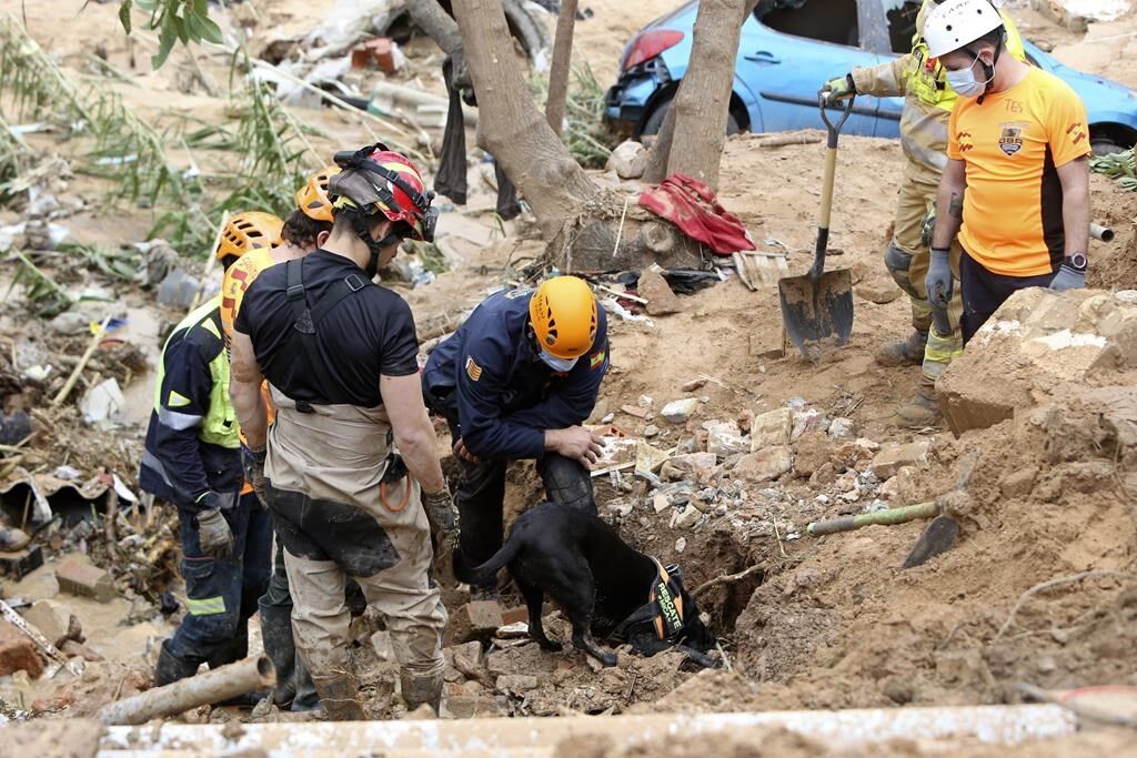 A Crowd Of Spain's Flood Survivors Toss Mud And Shout Insults At King ...