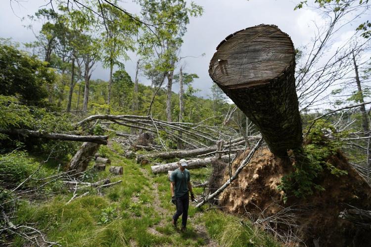 Parts of the Appalachian Trail are still damaged after Helene. Volunteers are fixing it by hand