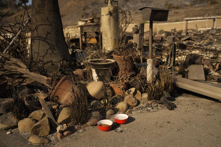 California-Wildfires-Gallery