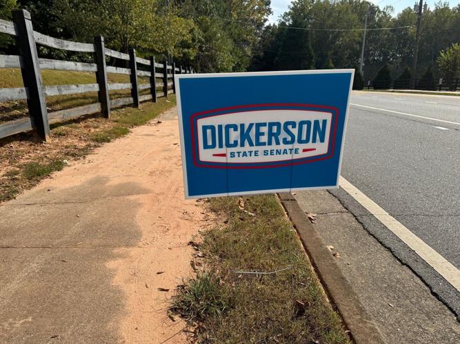 Georgia runoff to decide state senator in a deep-red district where a Democrat made gains