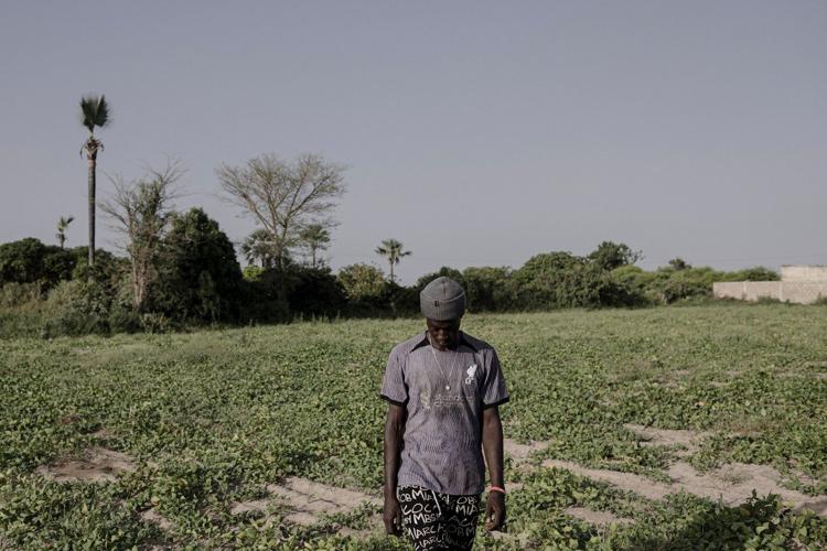In Senegal, climate change is adding to historic tension between farmers and herders