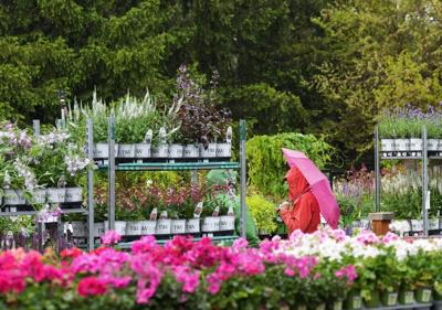 Sluggish, volatile start to spring could give way to hot, dry ending: Weather Network