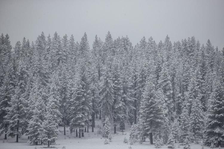 US East endures flooding, with snow in the forecast for the Northeast. Frigid cold in the Plains