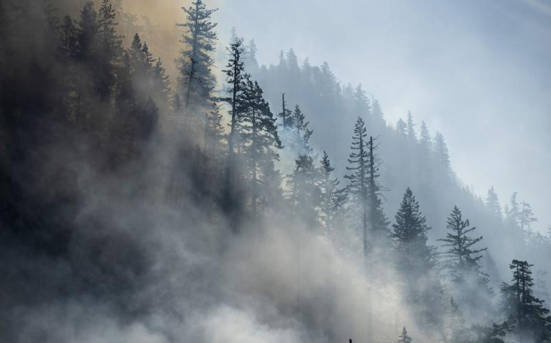 Cda-Wildfire-Gallery 04