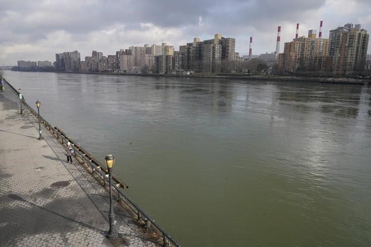 Claim of mammoth bones brings treasure hunters to NYC river