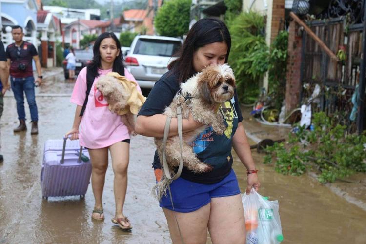 Typhoon Kalmaegi leaves 52 dead, mainly in Philippine province still recovering from deadly quake