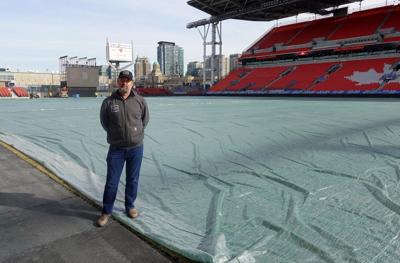 BMO Field playing surface 'looking good' ahead of Toronto FC home opener Saturday