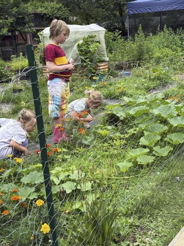 Let kids create their own garden, and other tips for instilling a love for growing things