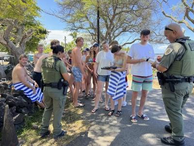 Hawaii authorities say 33 swimmers were harassing dolphins