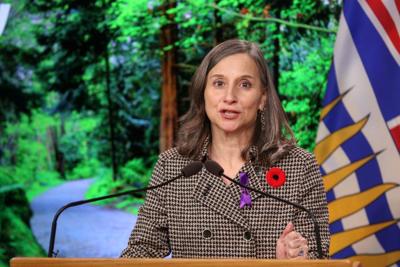 Study on B.C. decriminalization's impact on drug crisis not complete: former coroner