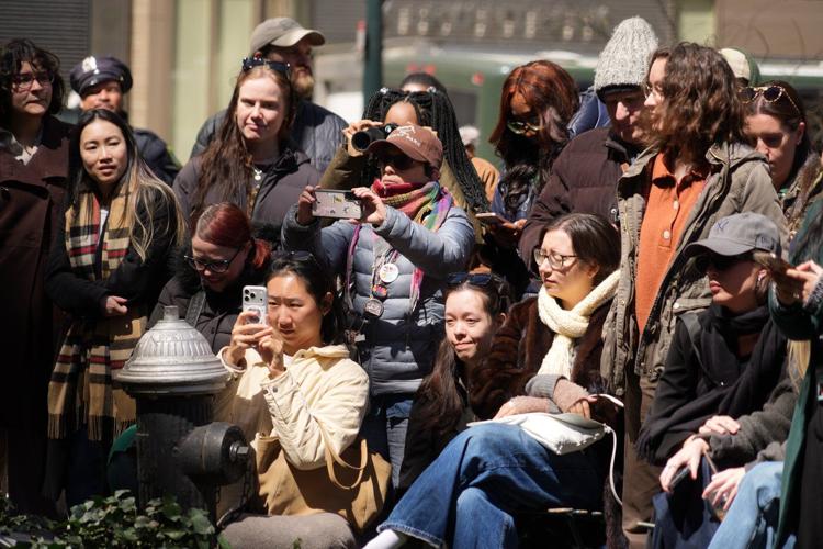 New Yorkers flock to Manhattan park for lovable woodcocks' bobbing strut