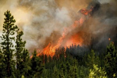 B.C. crews hopeful of forecasted heavy rain dampening massive Donnie Creek wildfire