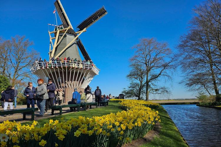 Flower lovers and influencers flock to the tulip vistas at an iconic Dutch park