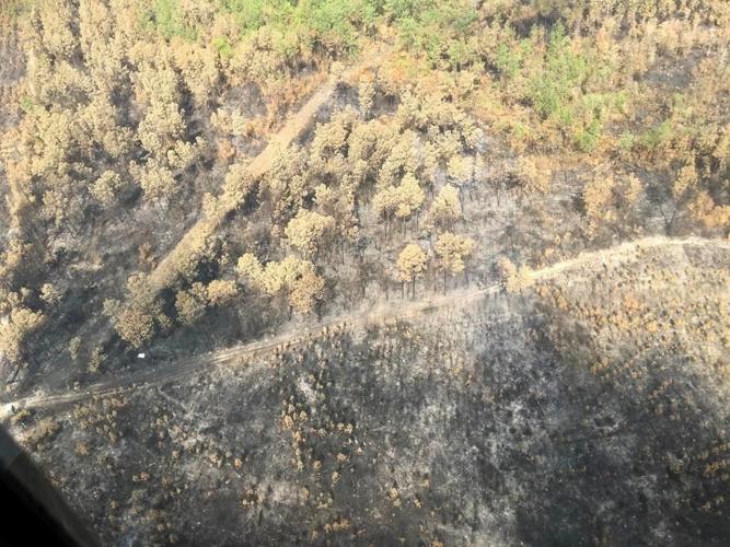 In a state used to hurricanes and flooding, Louisiana is battling an unprecedented wildfire season