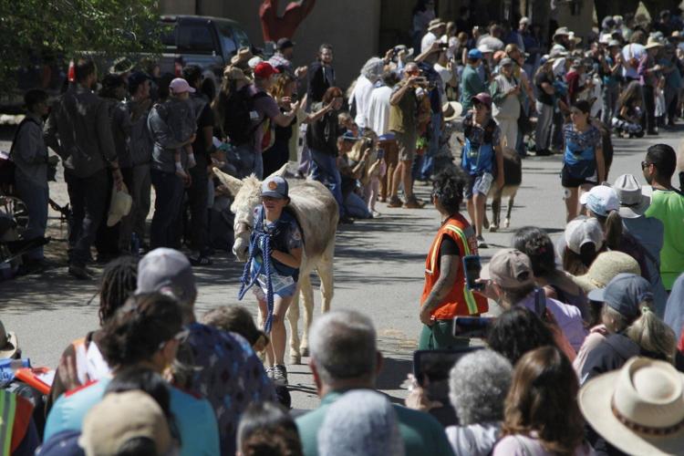 Burro racing wins over runners in backcountry ode to mining history