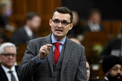 Citizenship oath at the click of a mouse is designed to be a temporary fix: minister