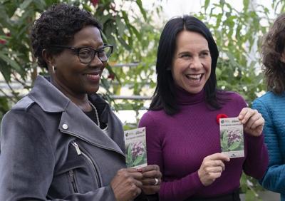 Montreal unveils pollinator plan ahead of UN biodiversity conference