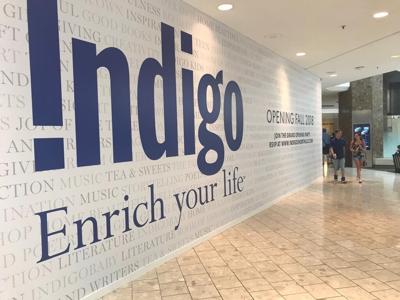 Indigo risks reputational damage as outage drags on: experts