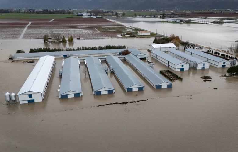 Why is B.C. facing the prospect of a flood disaster again?