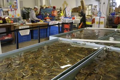 California's commercial Dungeness crab season delayed for the sixth year in a row to protect whales