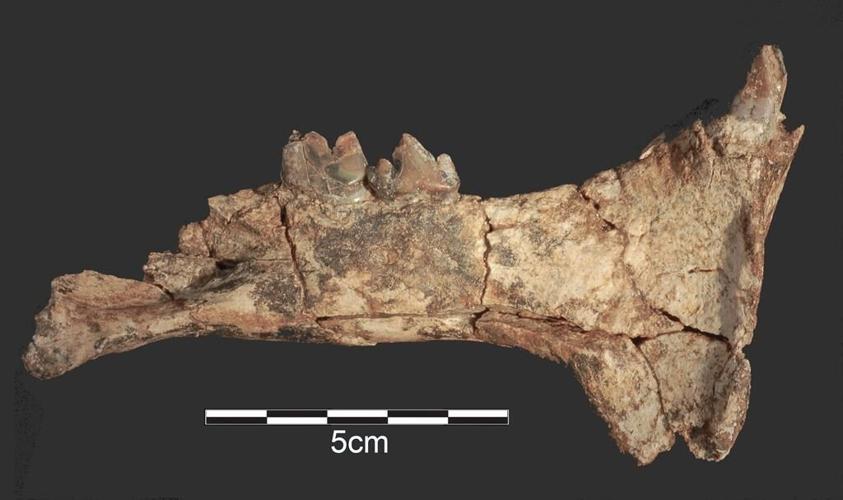 Stone Age discovery fuels mystery of who made early tools