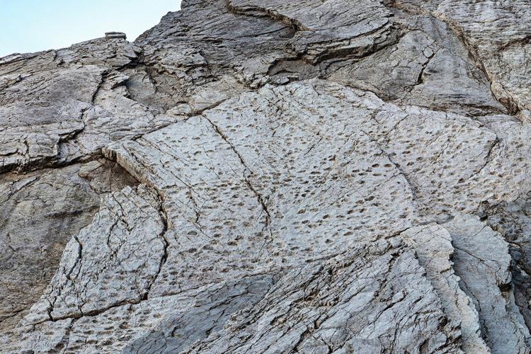 A photographer finds thousands of dinosaur footprints near Italian Winter Olympic venue
