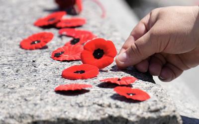 N.S. chief justices supports individual judges banning poppies in court