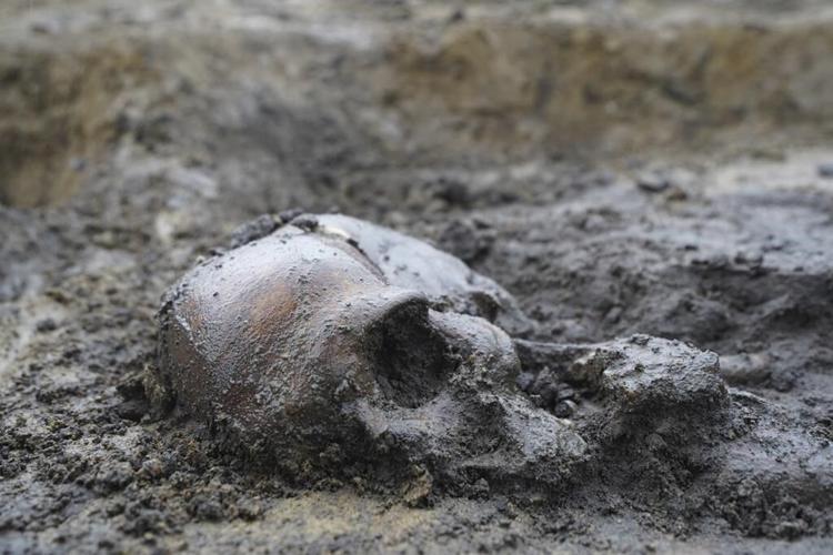 50 well-preserved Viking Age skeletons unearthed in Denmark
