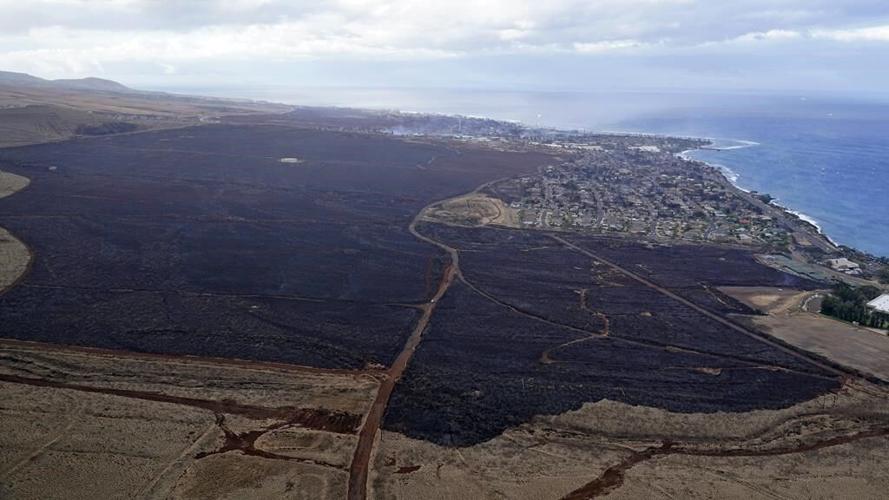 Fast-moving Hawaii fires will take a heavy toll on the state's environment