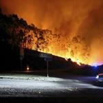 Portugal declares a state of calamity as wildfires rage out of control