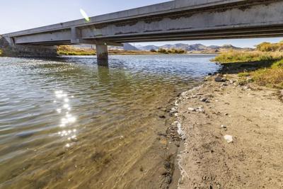 Rare otter attack injures three women floating on inner tubes on popular Montana river
