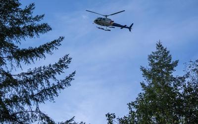 RCMP make arrests again at B.C. logging blockades after court odyssey