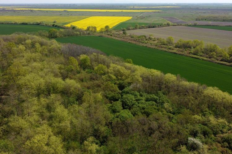 A Serbian bird-watching group uses crowdfunding to buy and preserve a woodland habitat