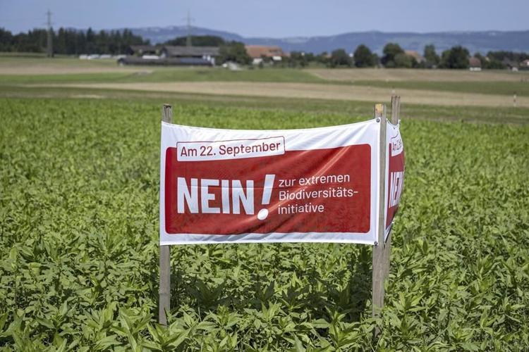 Birds, bees and ballots: Swiss voters to decide on plan to bolster country's fragile biodiversity
