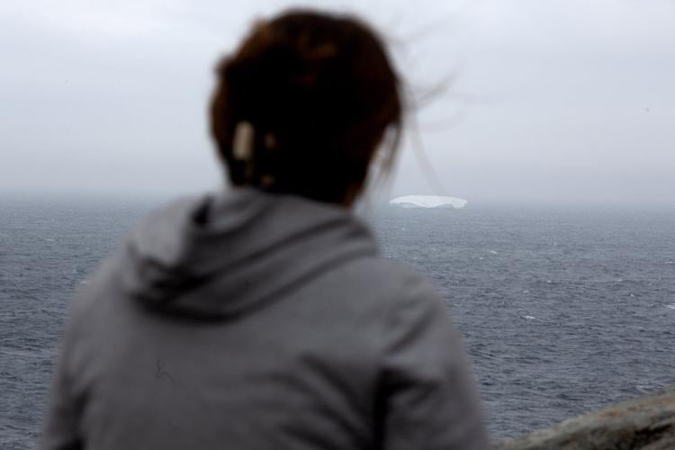 Parade of ghostly icebergs brings joy and wonder to Newfoundland and Labrador
