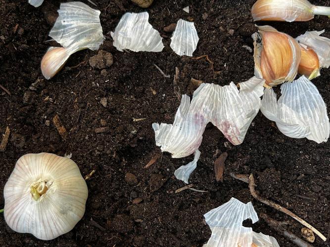 Doing these fall garden chores will make your spring easier