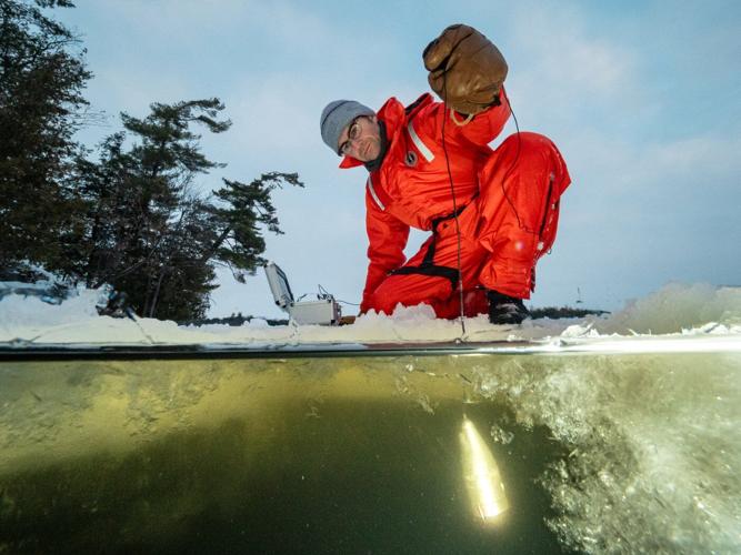 Why a turtle die-off has this Ottawa researcher worried about warming winters