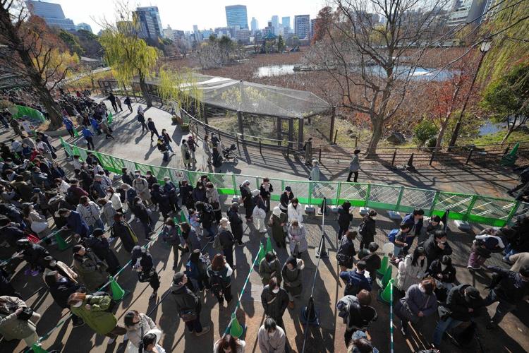 Thousands flock to a Tokyo zoo to see the last 2 pandas in Japan before their return to China