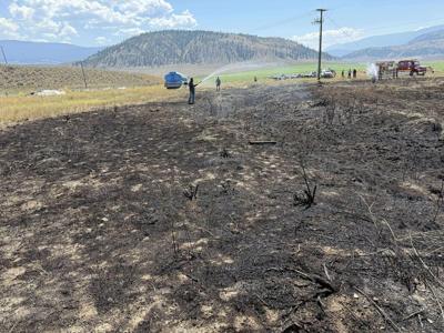 Fish dropped on power lines by bird caused B.C. blaze, firefighters say