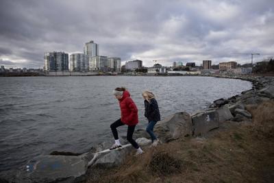 Fisheries Minister won't allow Dartmouth Cove infilling project to move forward