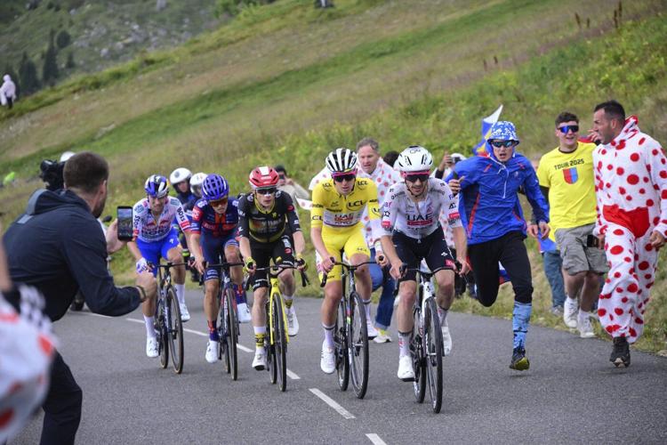 Culling of infected cows leads to shortened 19th stage of Tour de France