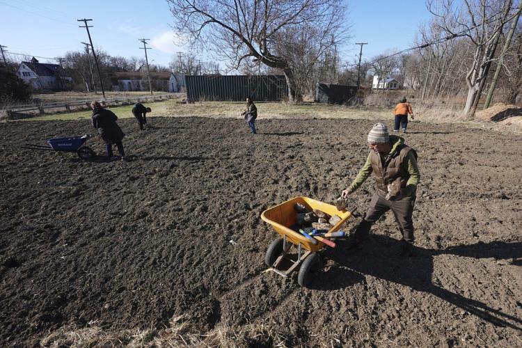 A sequoia forest in Detroit? Plantings to improve air quality and mark Earth Day