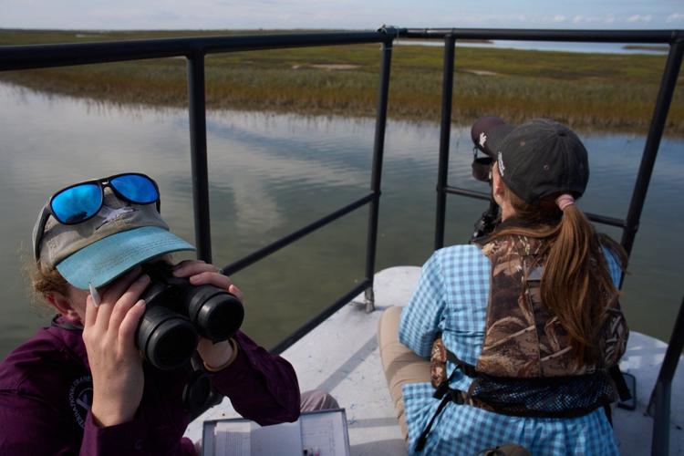 Along the Texas Coast, a new sanctuary aims to protect the endangered and rare whooping crane